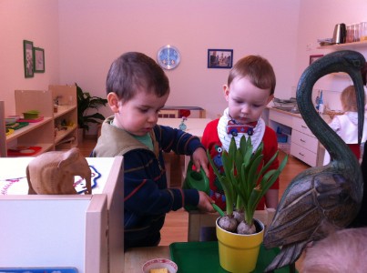 Marché Montessori soukromým školkám